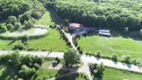 Ocharovatelnaya polyanka